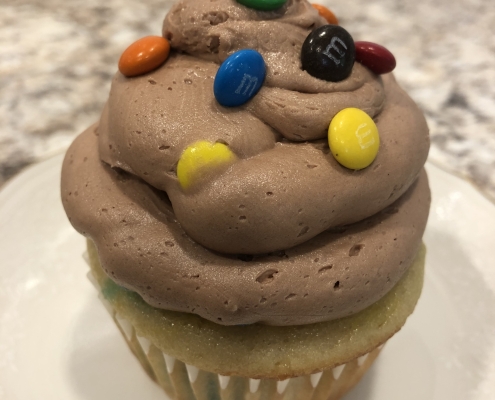 Chocolate Chickadee Cupcake: M&M cupcake with chocolate M&M buttercream and mini M&Ms